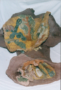Image6